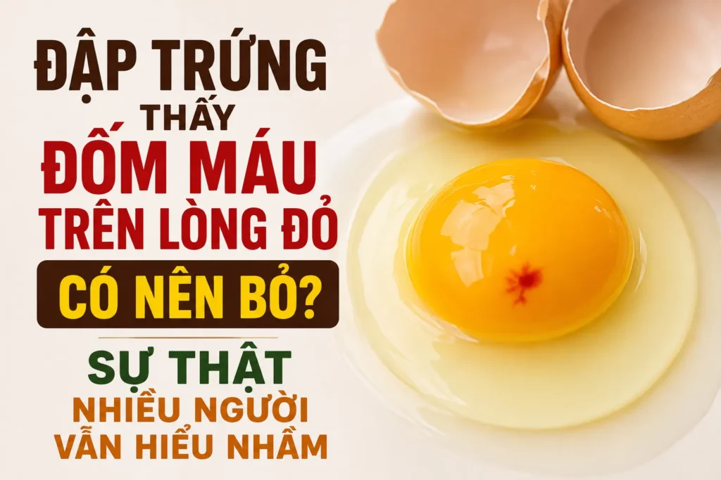Đập trứng thấy đốm máu trên lòng đỏ